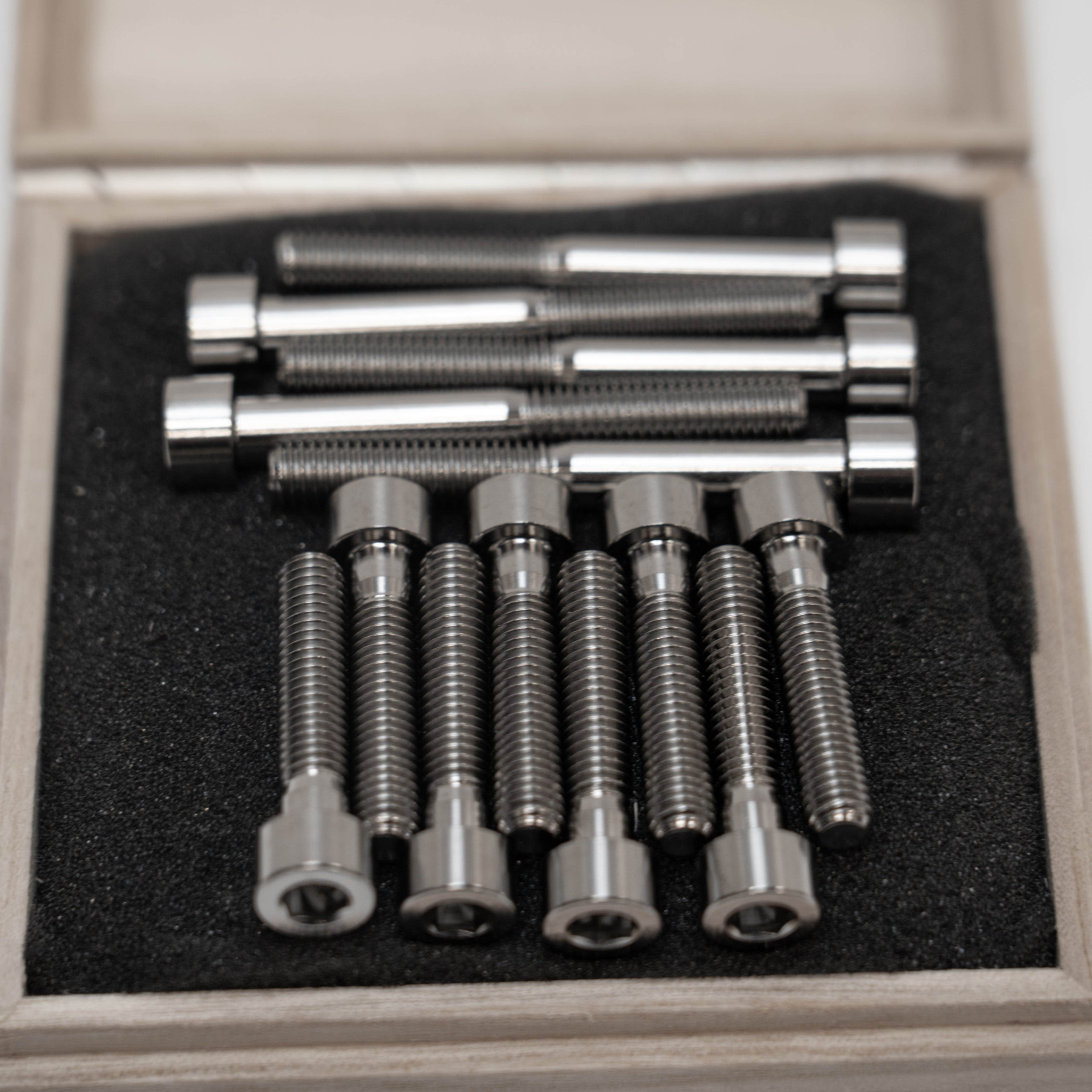 Bouten en moeren set Puch Maxi / E50 motor titanium CLAW
